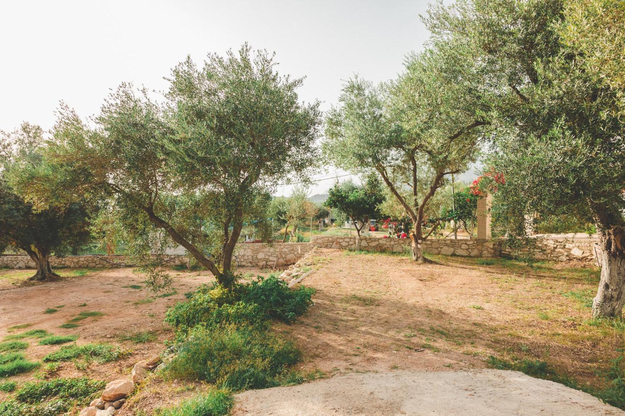 Olive Camping Himare Eksteriør bilde