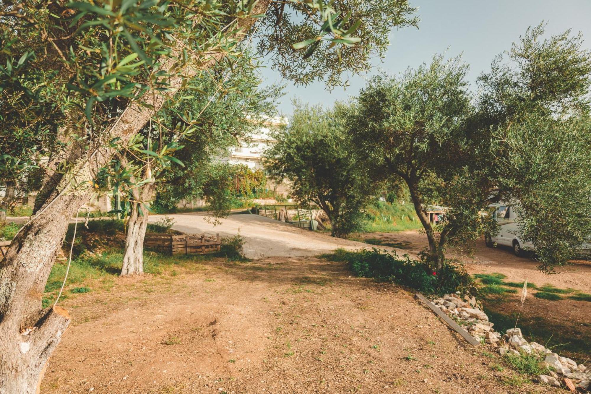 Olive Camping Himare Eksteriør bilde